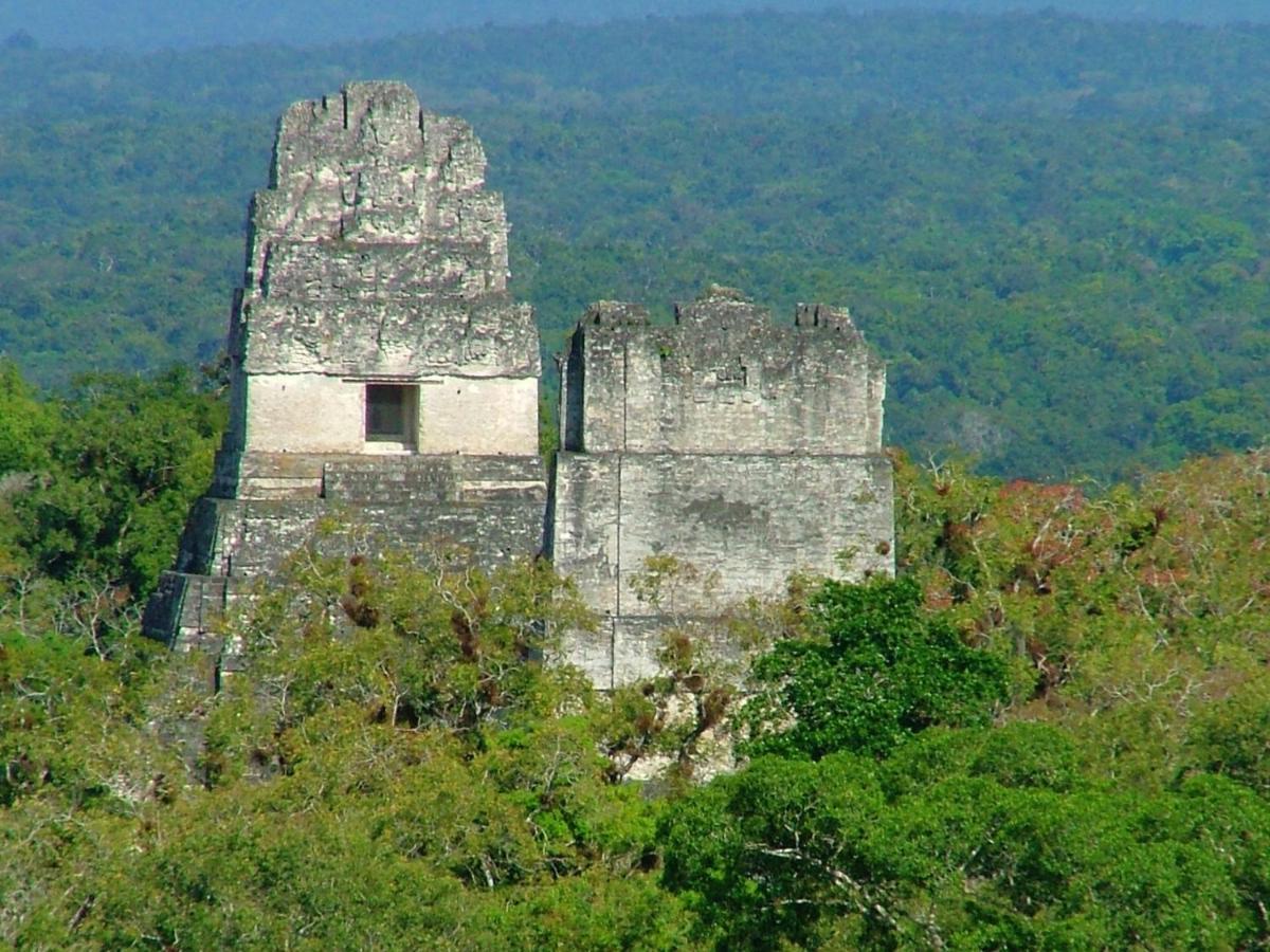 Villa Maya Flores Zewnętrze zdjęcie