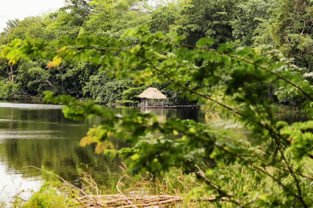 Villa Maya Flores Zewnętrze zdjęcie